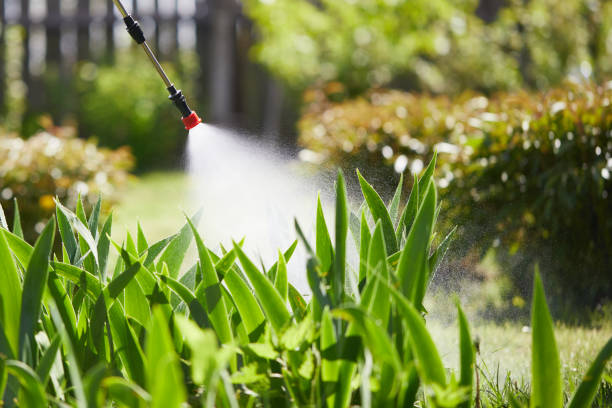 Tamper-Resistant Bait Stations for Rodents in Odenville