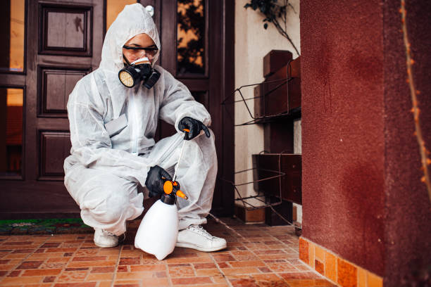Attic and Crawl Space Rodent Treatment in Odenville