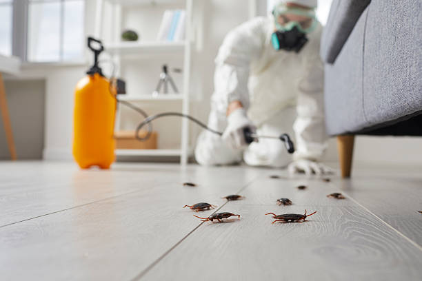 Commercial Rodent Management in Odenville